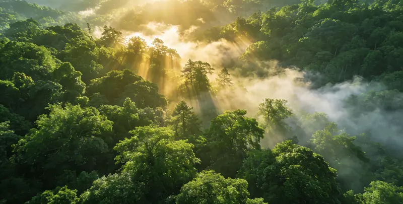 驻马店肺癌8基因突变检测（组织）图片1
